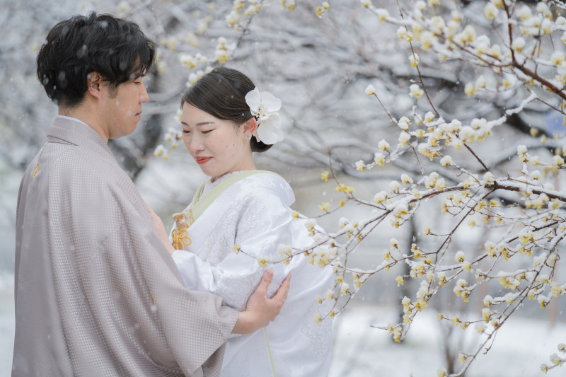 春のお花に雪化粧