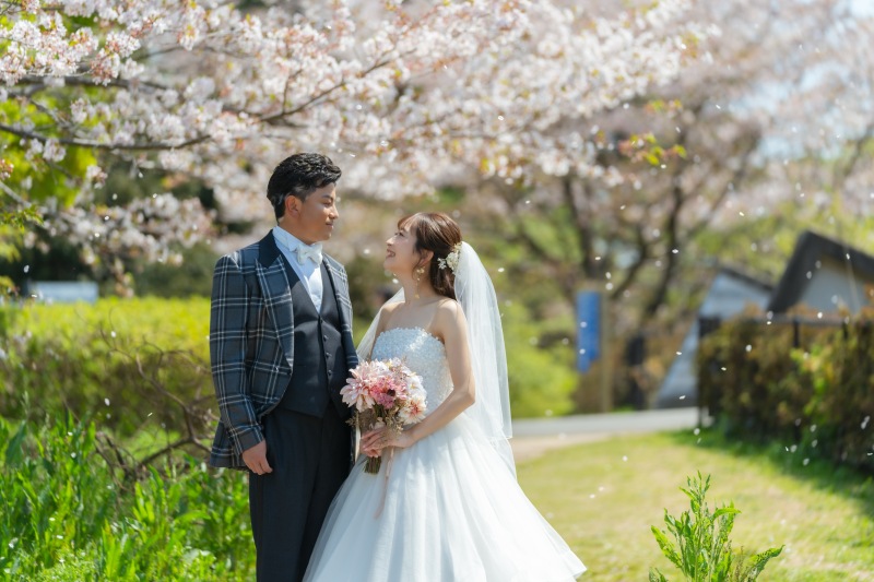 風が吹くと桜が舞ます。