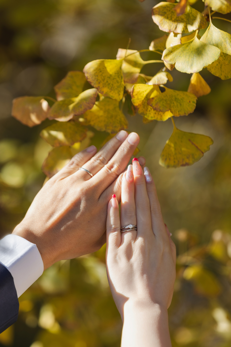 お手元ショット