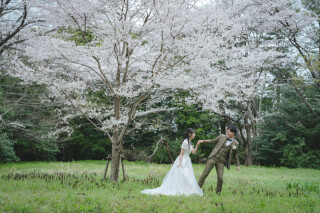 桜ロケーション！