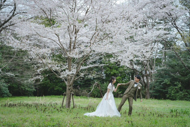 桜ロケーション!