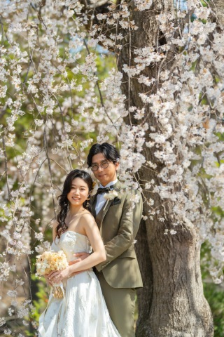 昭和記念公園　〜桜〜