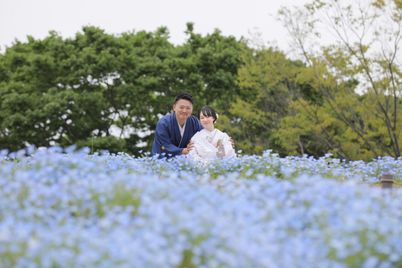 ネモフィラ畑。