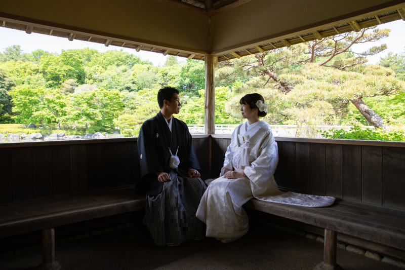 見つめ合い