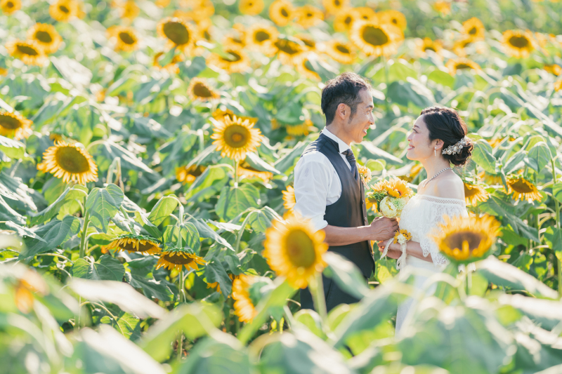 ひまわり畑の真ん中で