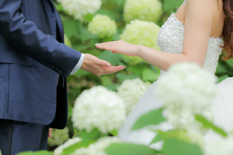 イメージカット