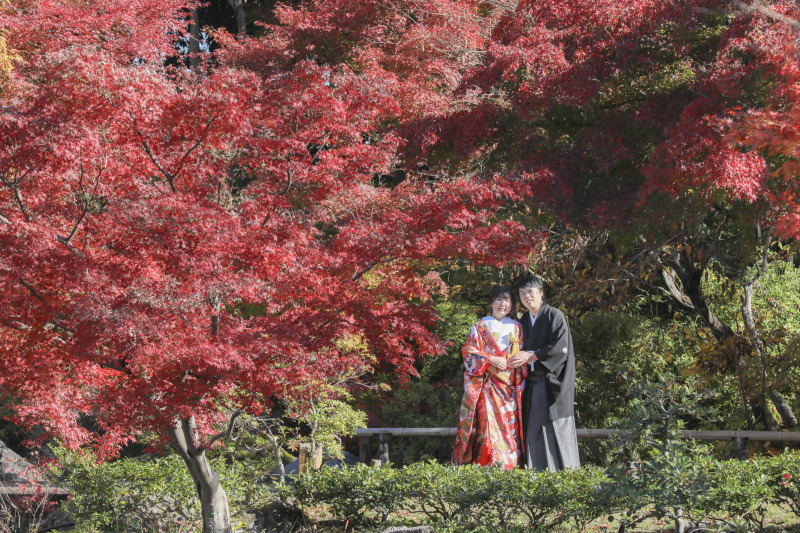 紅葉に囲まれて。
