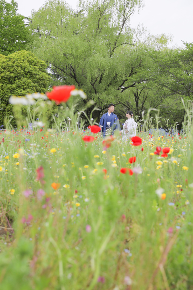 映えを狙うなら!