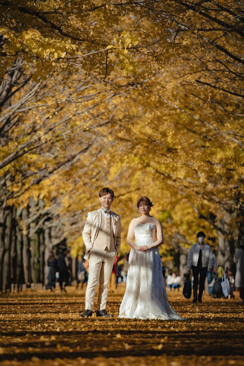 洋装は銀杏並木で