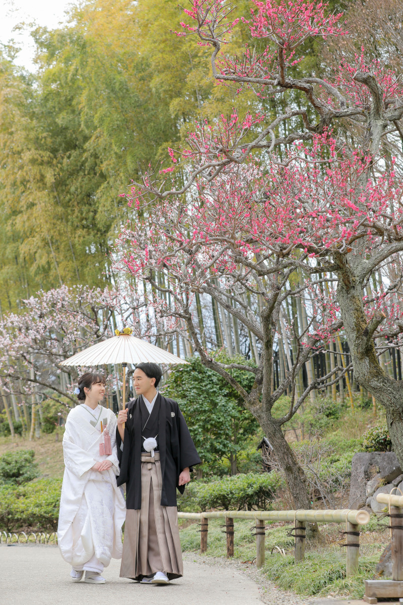 梅のグラデーション