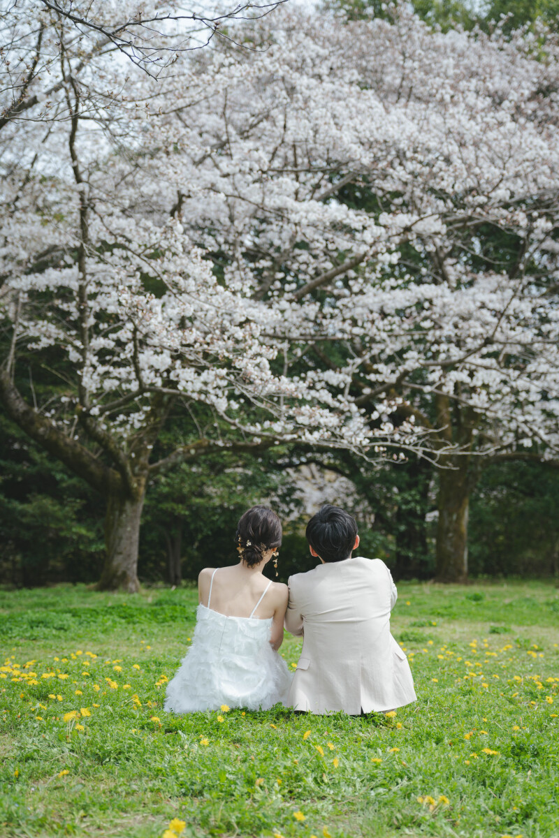 ちょこんと後ろ姿