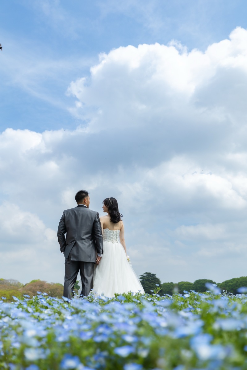 ネモフィラの空へ