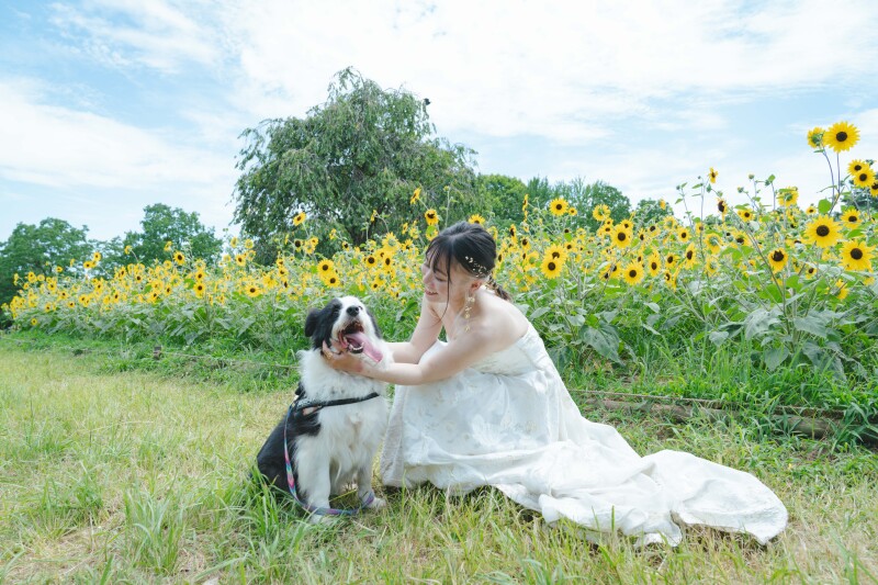 ワンちゃんとご新婦様