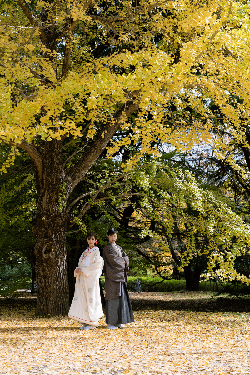 大きな銀杏の木の前で
