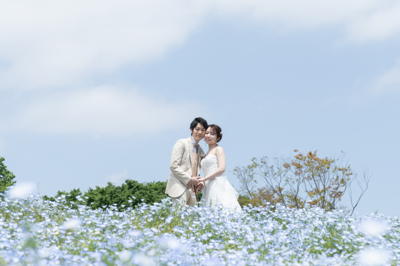 ネモフィラと青空と！