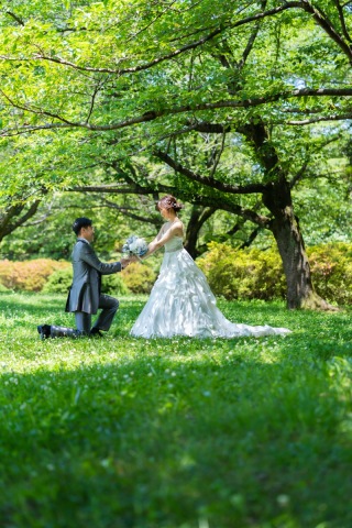 青々とした緑が美しい季節