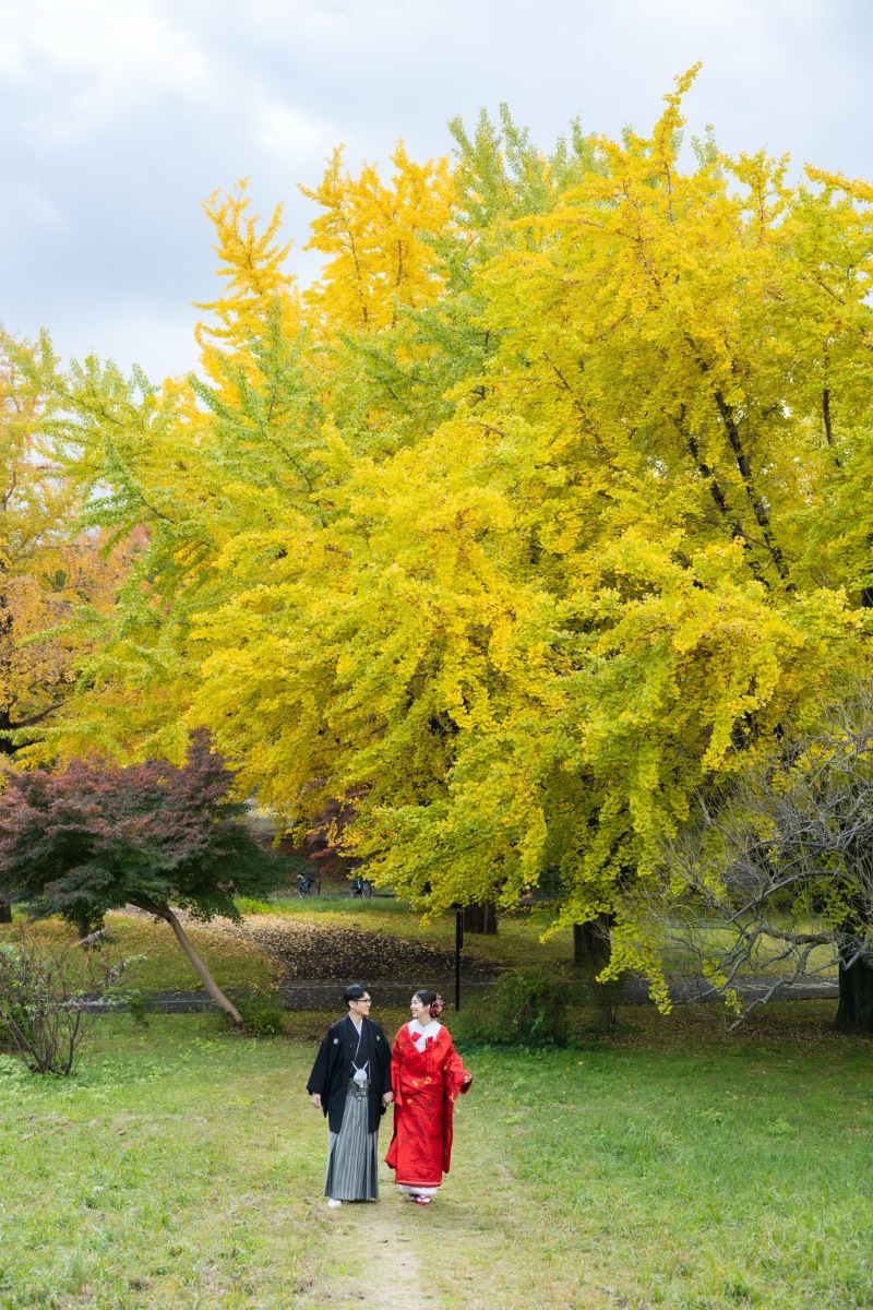 イチョウが綺麗ですね。