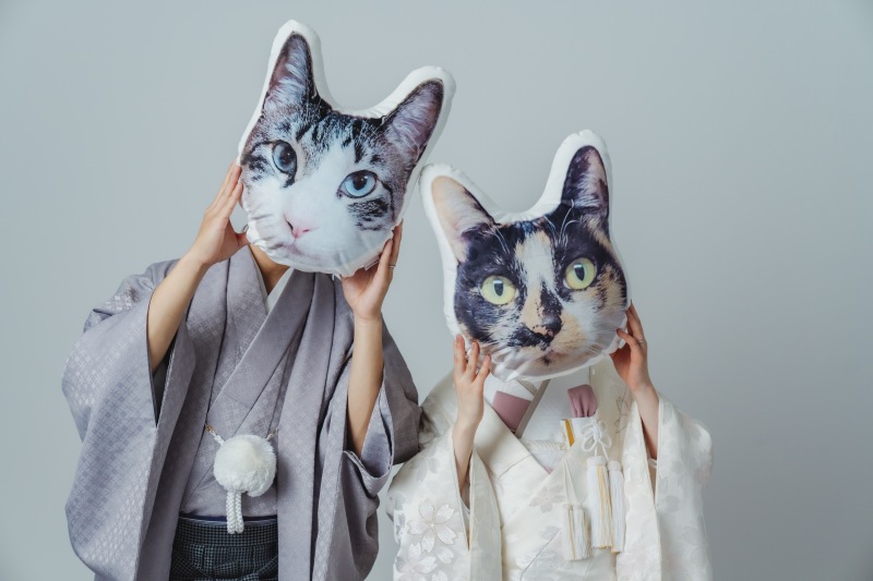 猫のクッション