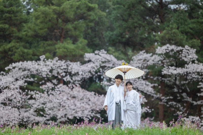 雨が味方してくれた桜ロケーション
