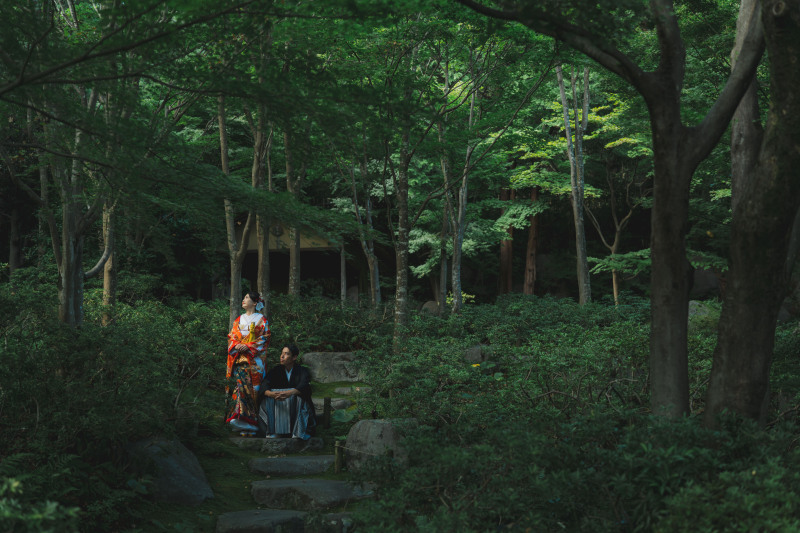 日本庭園とコスモス3