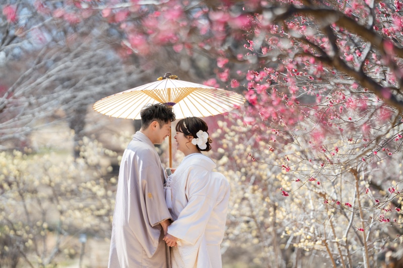 梅和装ロケーション