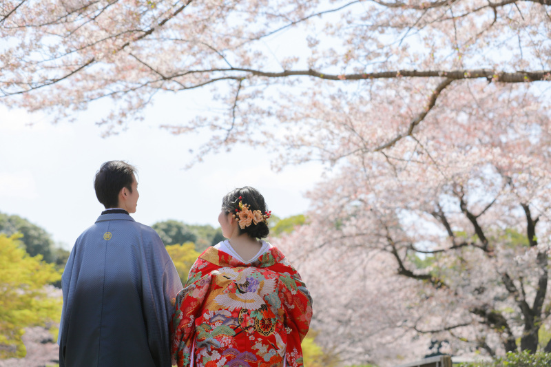 お散歩シーン。