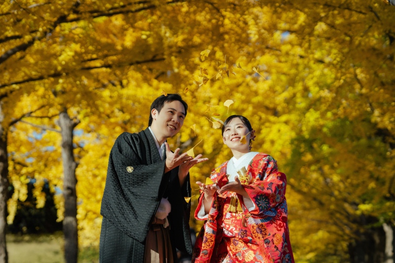 銀杏のコンフェッティ