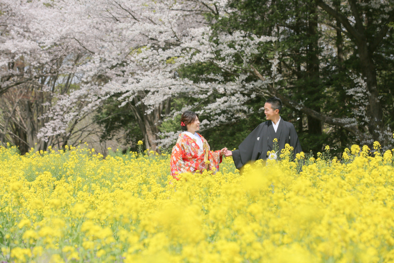菜の花道をエスコートでお散歩。