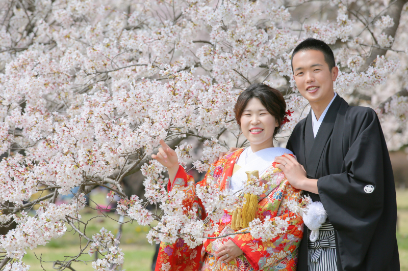 今年の桜と一緒に。