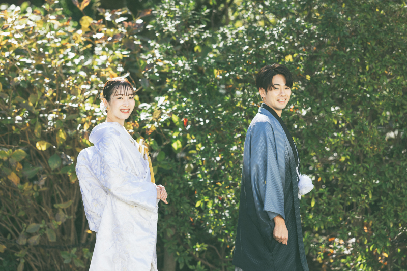 グリーンバック