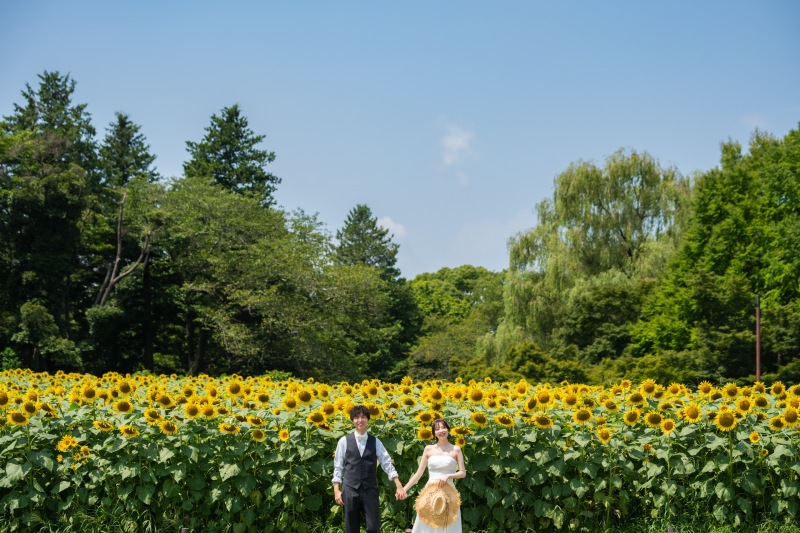 ひまわりと笑顔がいっぱいの夏ロケーション