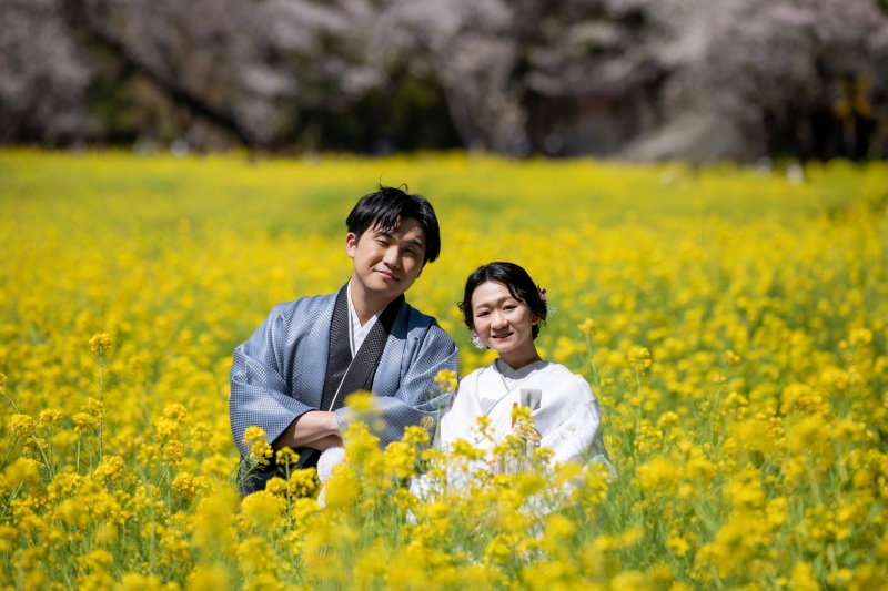 菜の花に囲まれて