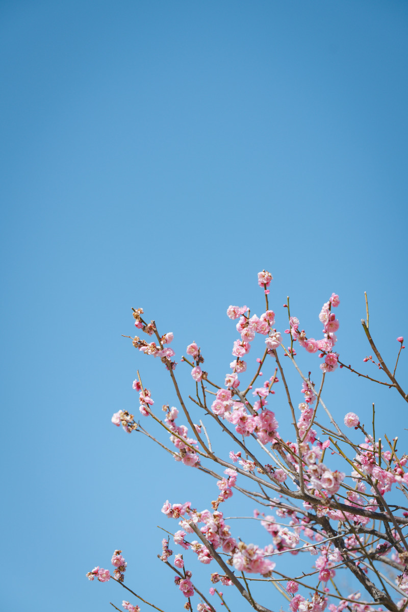 イメージカット