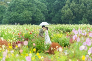 秋の昭和記念雨の日ロケーション