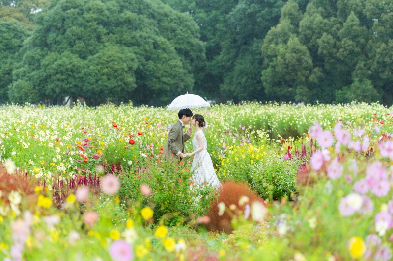 秋の昭和記念雨の日ロケーション