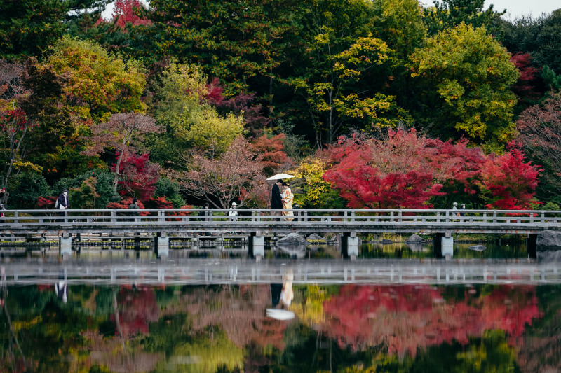 リフレクション