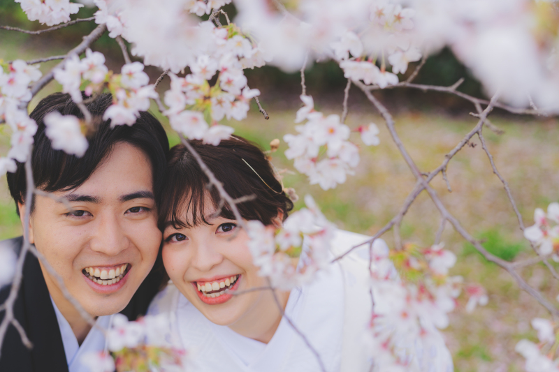 昭和記念公園桜2