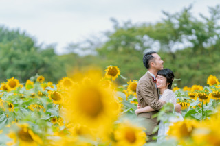 8月のひまわり畑