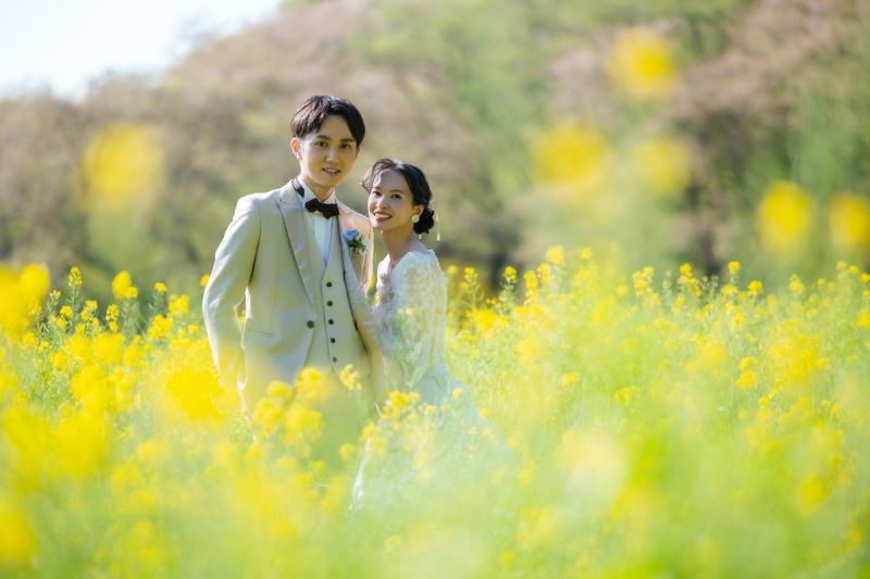 鮮やかな菜の花のイエロー