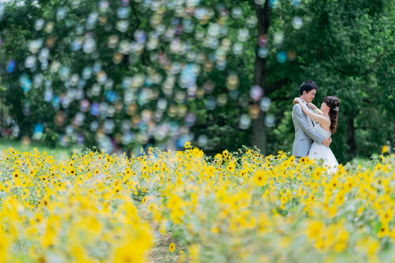 シャボン玉とひまわり