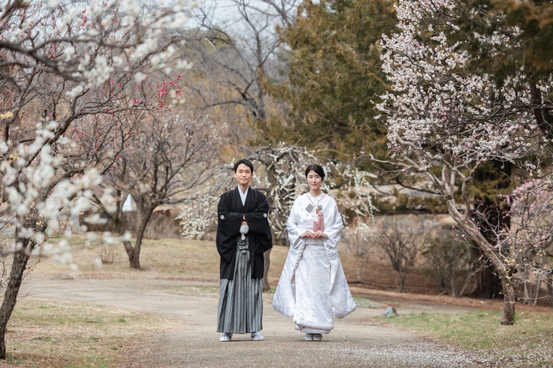 かっちりしたポーズで