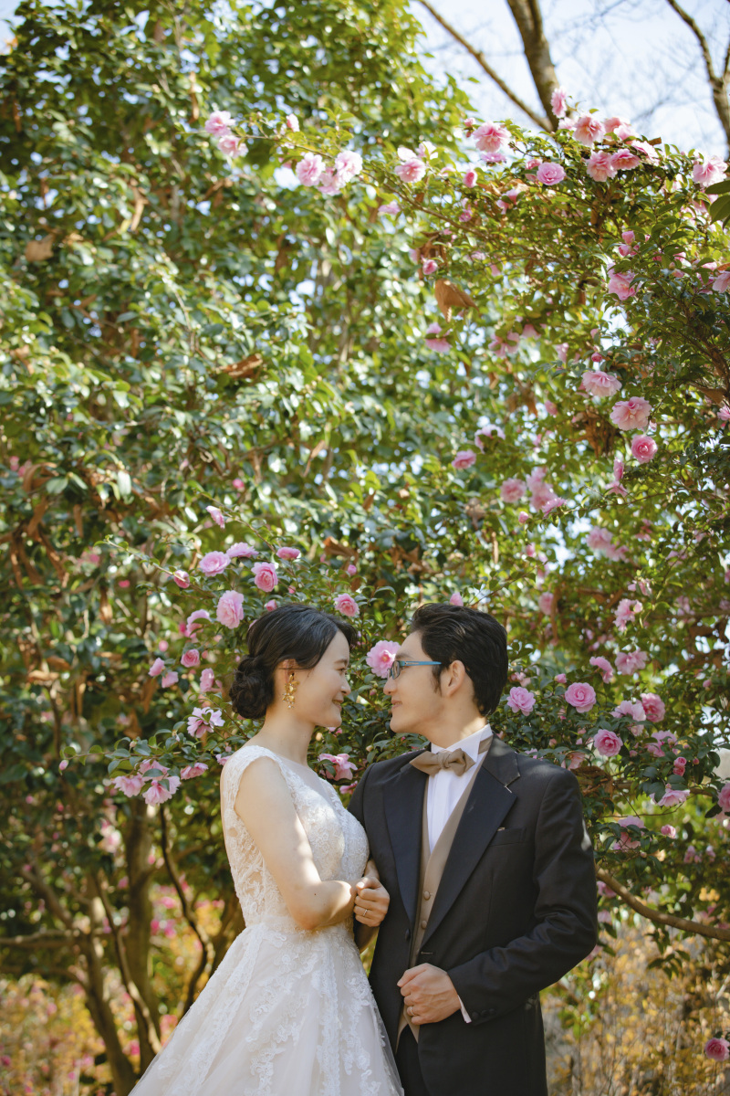 秋はサザンカも見頃です。