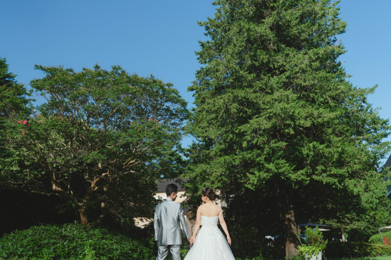 青空をお二人の後姿