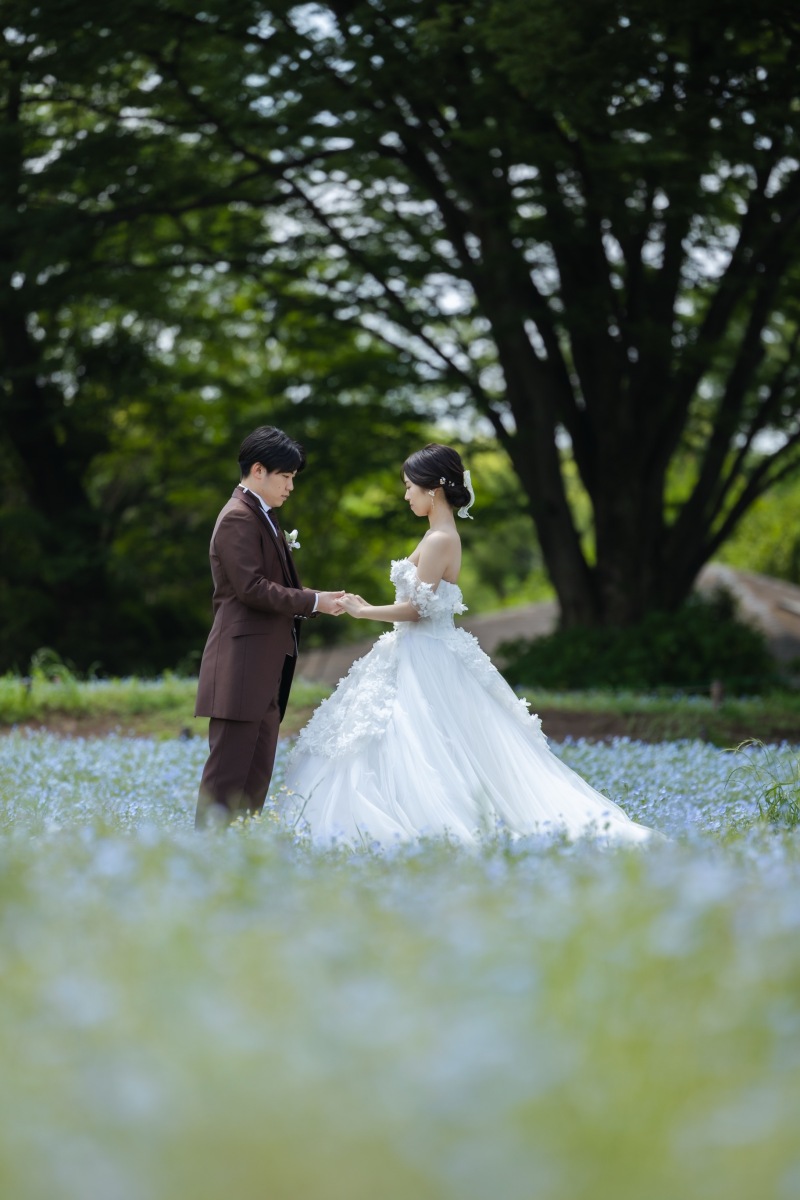 ネモフィラの花畑