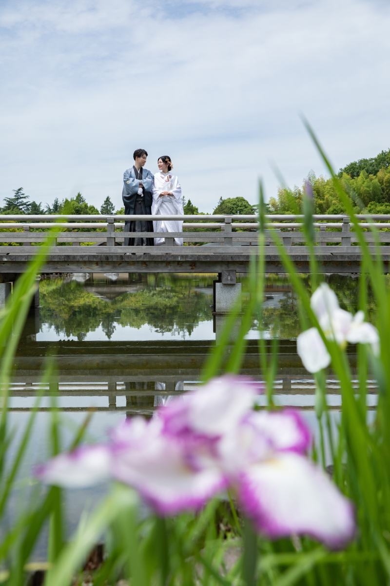 菖蒲のお花と橋