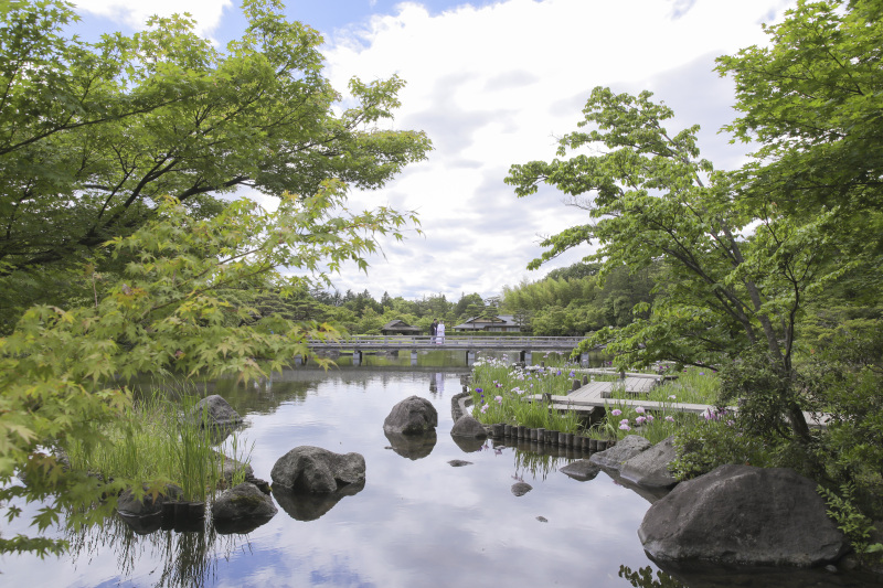 ダイナミックな1枚。