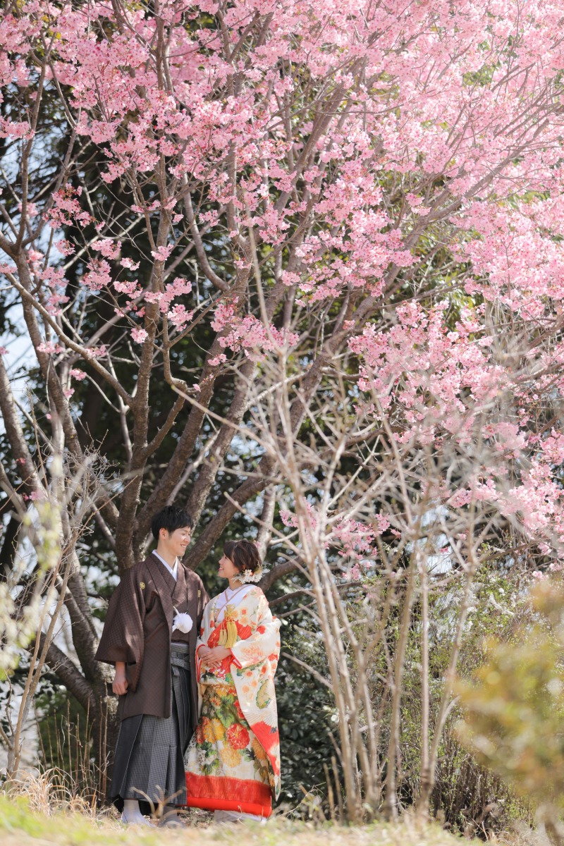桜×前撮り