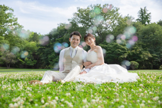 昭和記念公園の紫陽花撮影