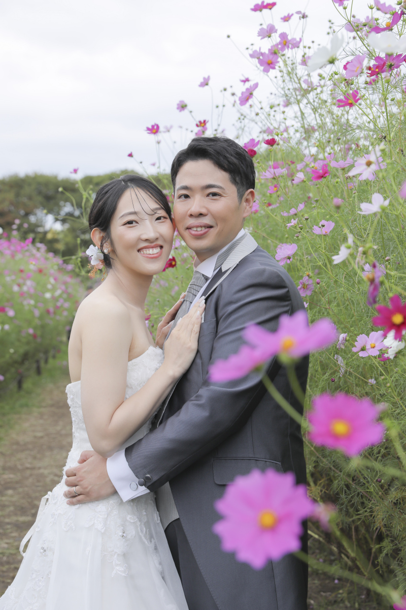 コスモス畑に埋もれてみた！