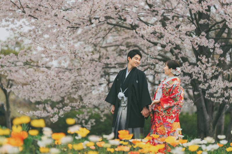 アイスランドポピー